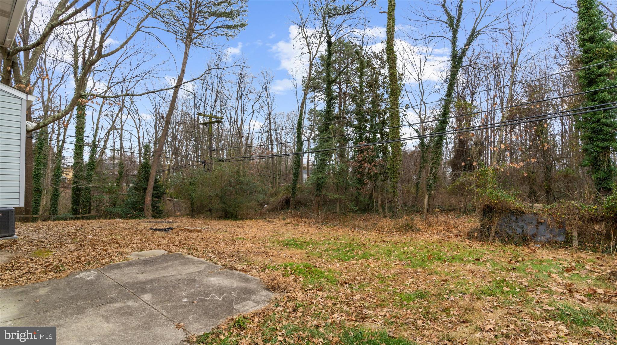8009 Nolcrest Road Glen Burnie, MD 21061 - Photo 35 of 35 a view of a yard with trees