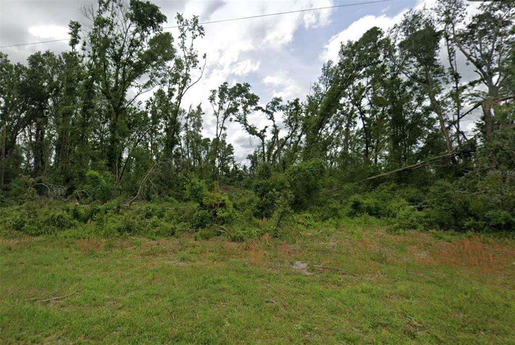 a view of a lush green forest with trees and houses