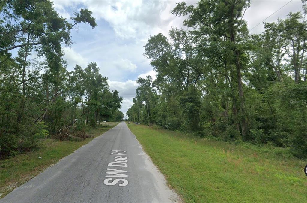 0 Southwest Doe Road Mayo, FL 32066 - Photo 2 of 4 a view of a street with a yard and a bench