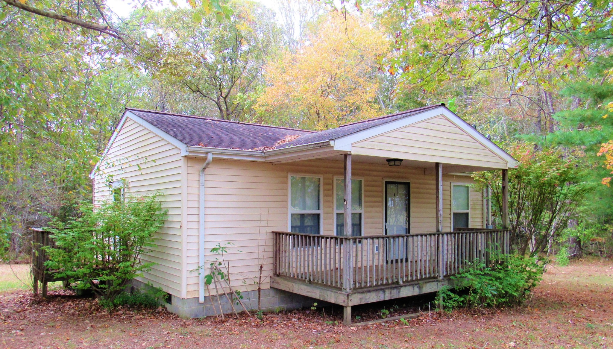 144 Ross Williams Road Lancing, TN 37770 - Photo 1 of 21 a view of a house with a yard plants and large tree