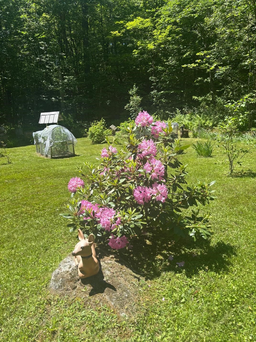 530 Marlow Road Washington, NH 03280 - Photo 16 of 18