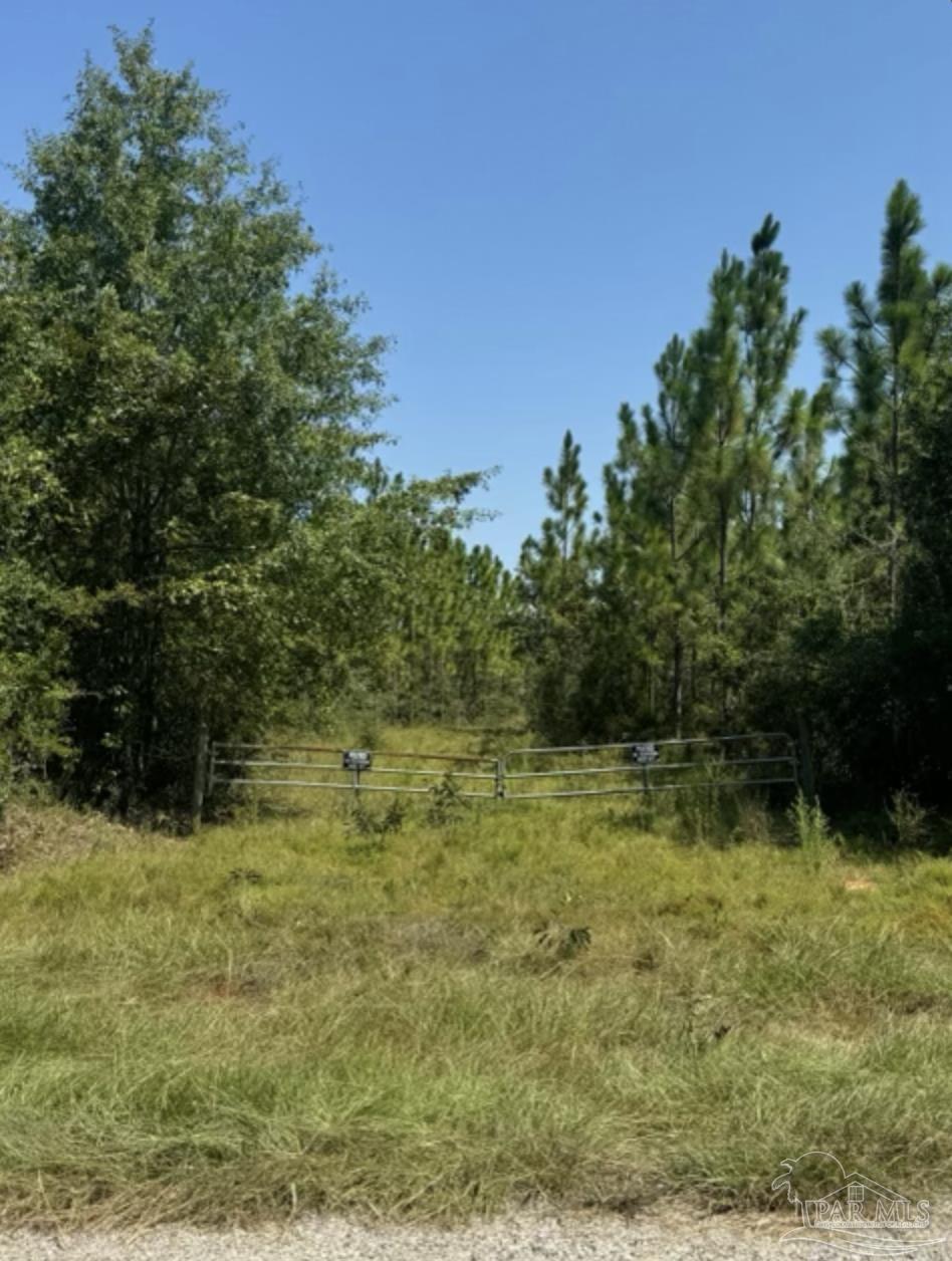 Delaney Road Jay, FL 32565 - Photo 3 of 3 a view of outdoor space with a garden