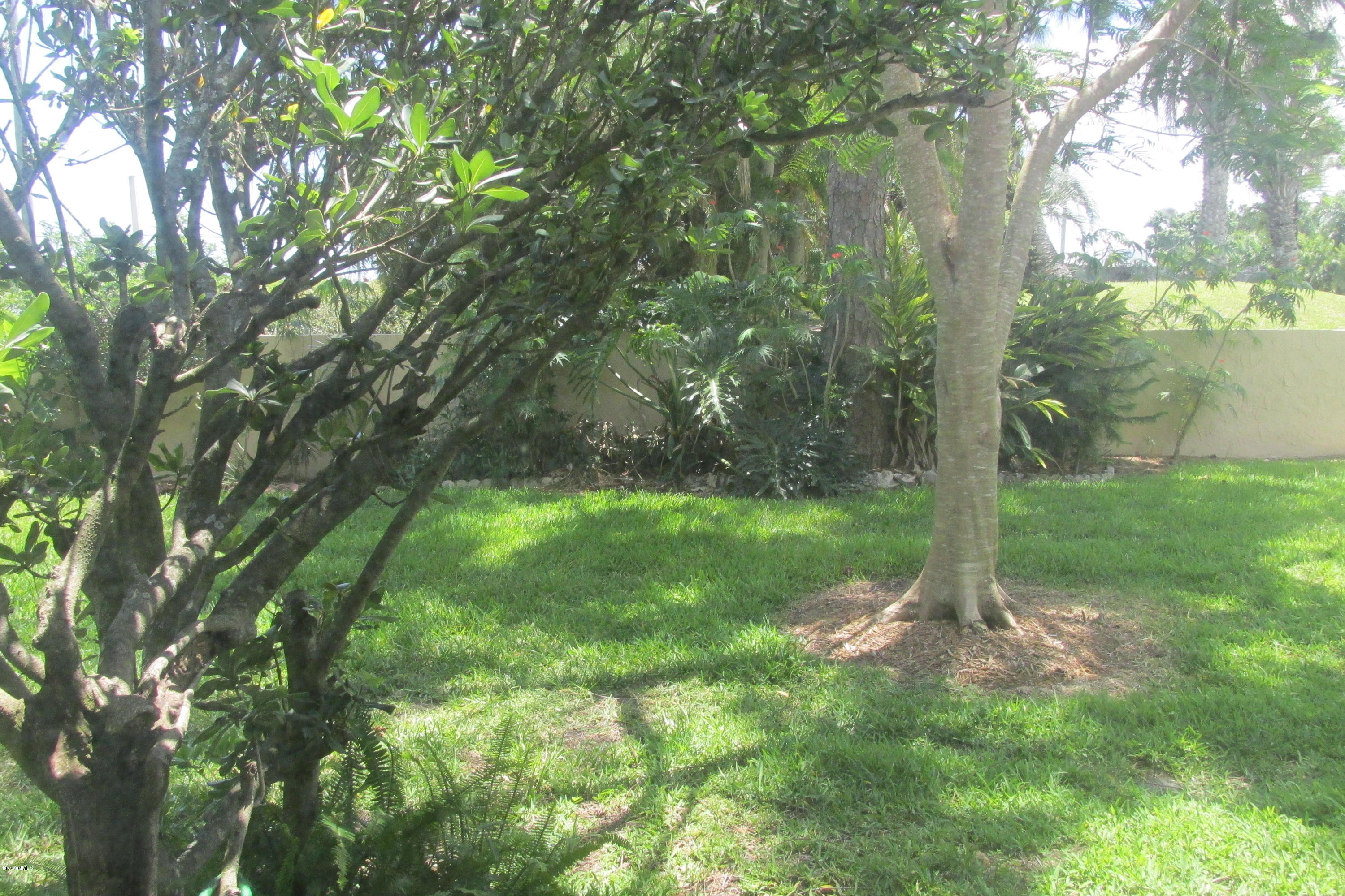 1686 Avery Road Northeast Palm Bay, FL 32905 - Photo 11 of 15 DB 033
