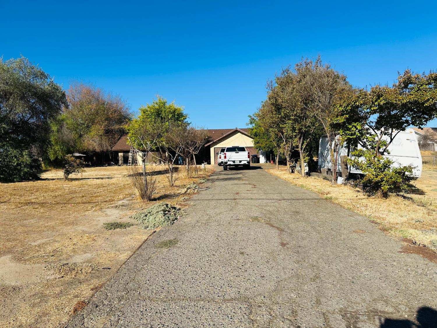 a view of yard with palm trees