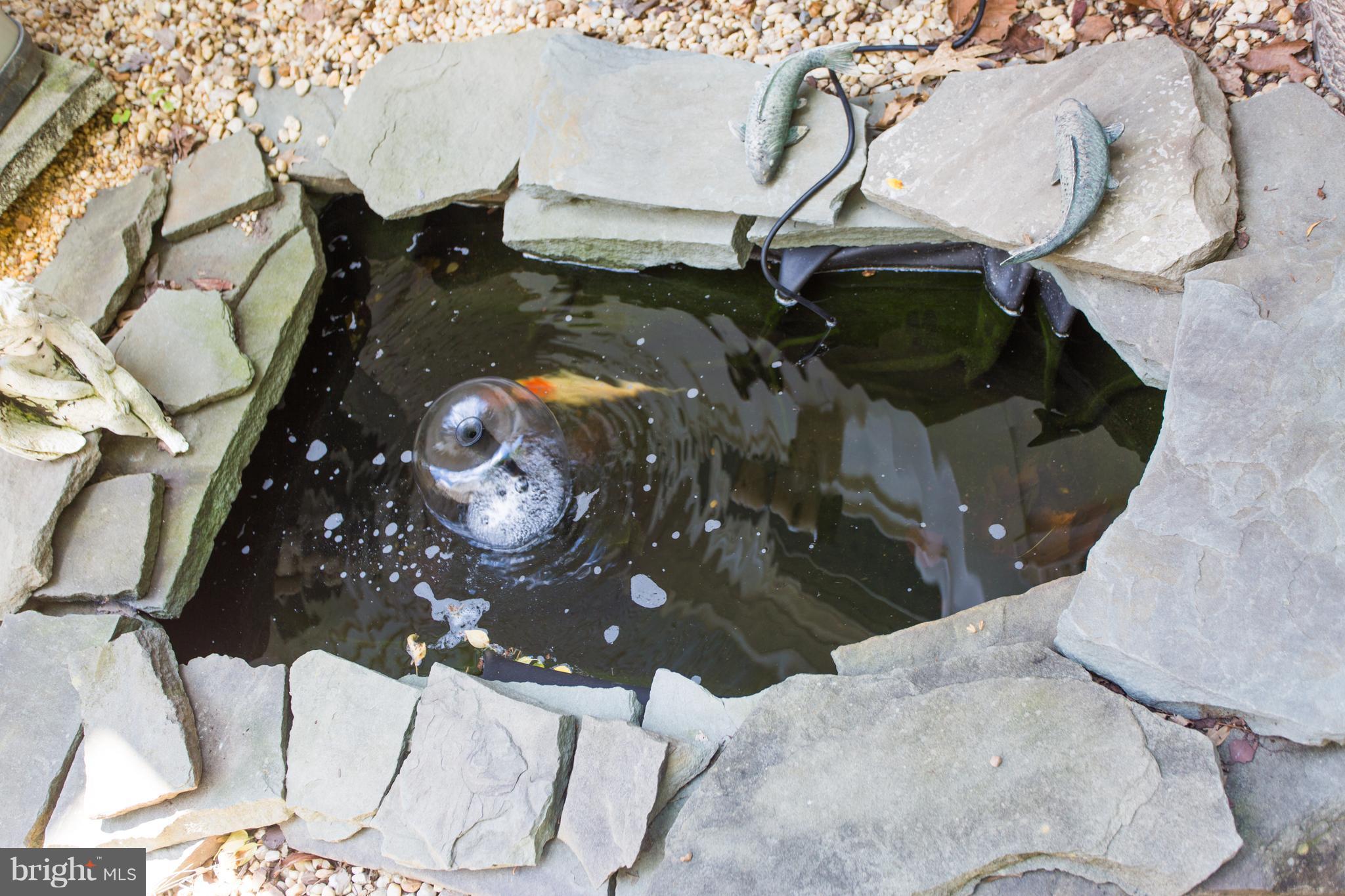 6604 Morning Ride Circle Alexandria, VA 22315 - Photo 22 of 30 Koi Pond in your backyard