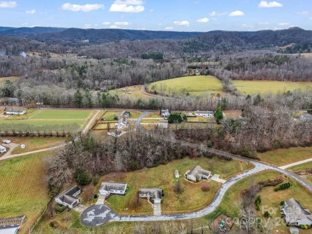 a view of a swimming pool with a yard and plants