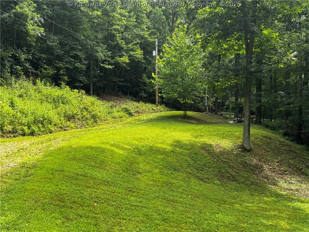 39 Fox Chase Road Alum Creek, WV 25003 - Photo 12 of 24 Gallery Image 12