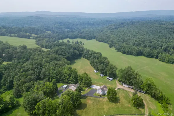 a view of a yard with plants and large trees