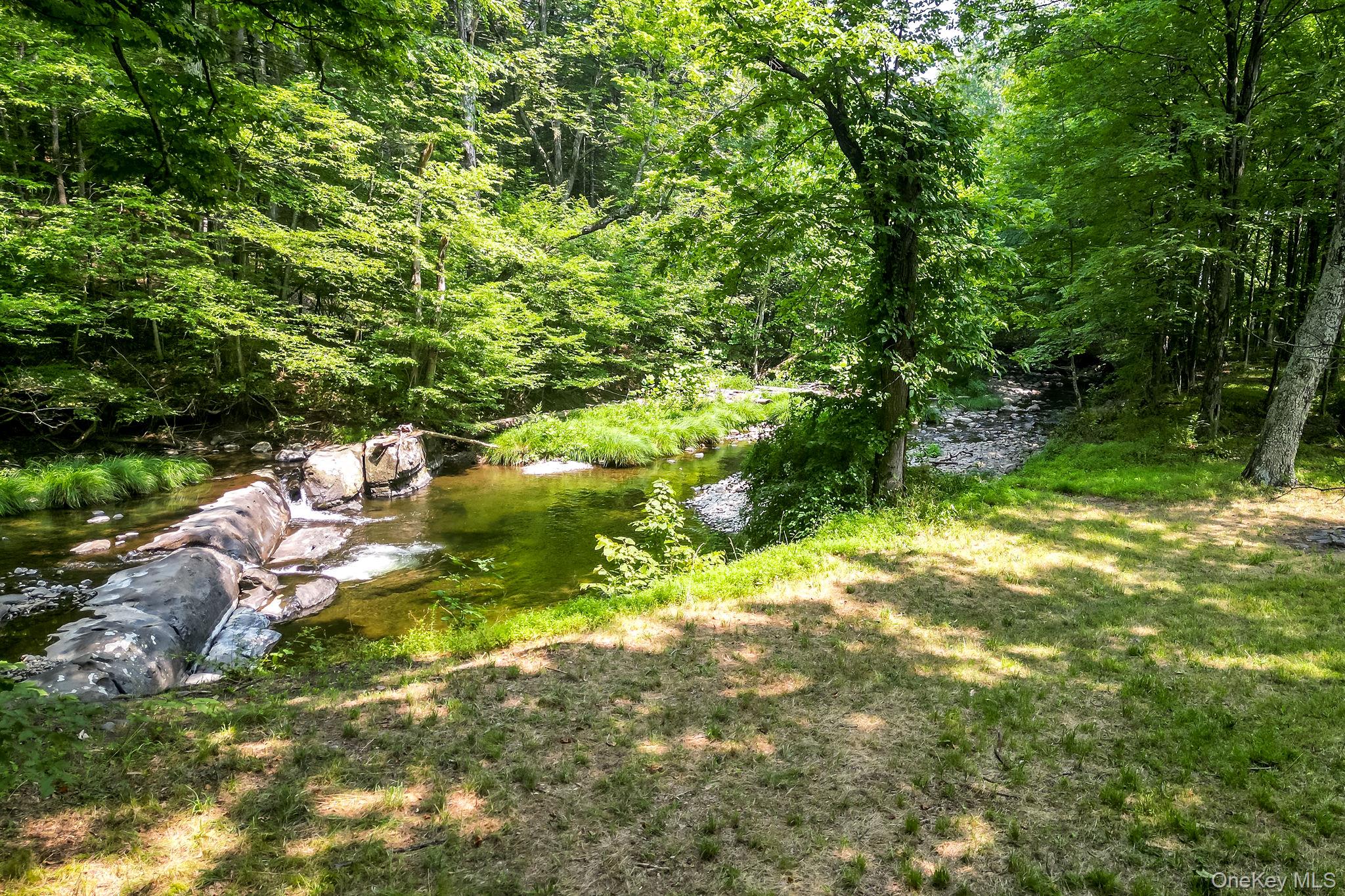 203 Samsonville Road Kerhonkson, NY 12446 - Photo 36 of 37 View of yard with a forest view and a water view