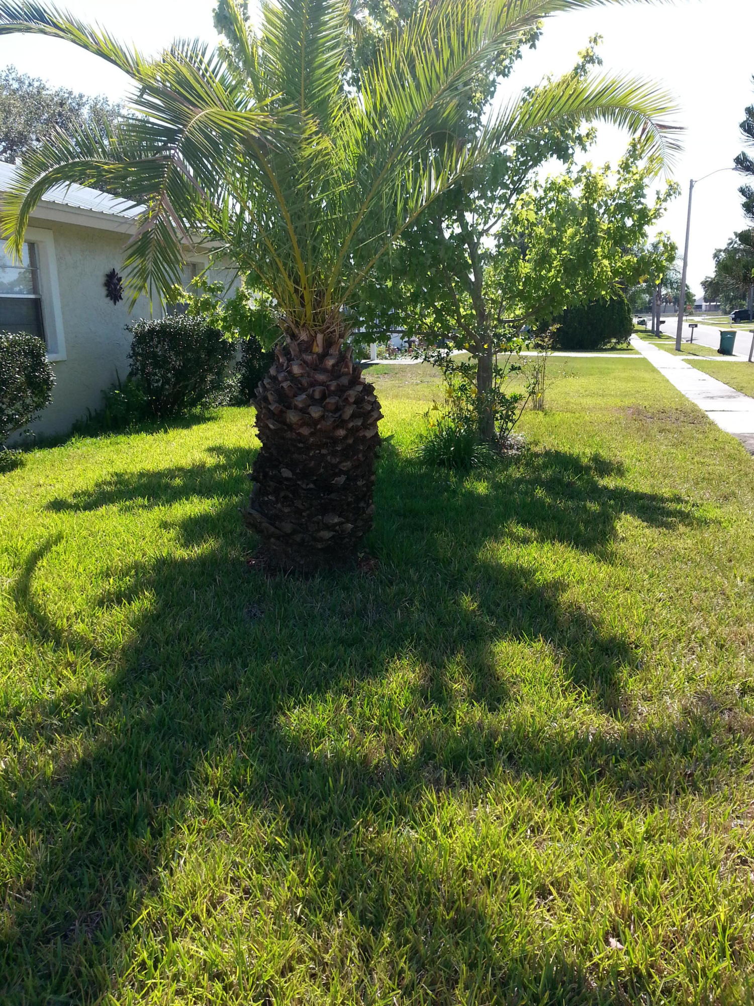 2857 Pembroke Road Melbourne, FL 32935 - Photo 14 of 19 20170509_161838