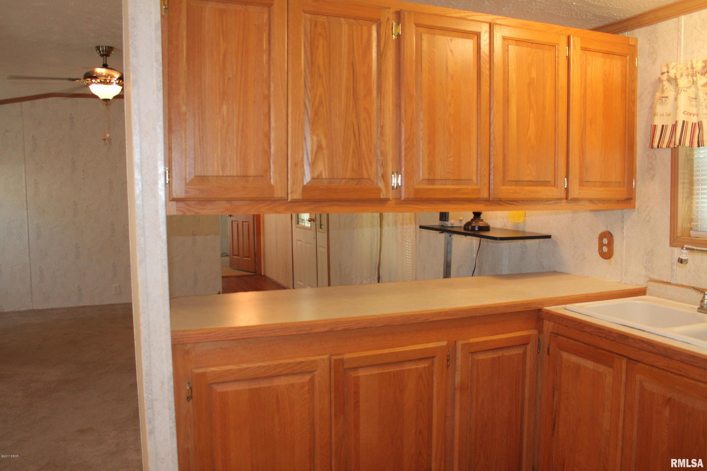 450 Los Angeles Road Carbondale, IL 62901 - Photo 4 of 14 Gallery Image 4
