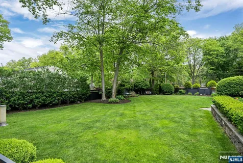 a view of a grassy field with trees in the background