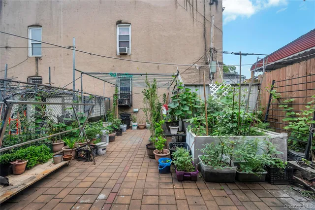 a view of a garden with potted plants