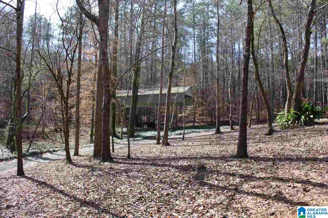 281 County Road 929 Delta, AL 36258 - Photo 12 of 49