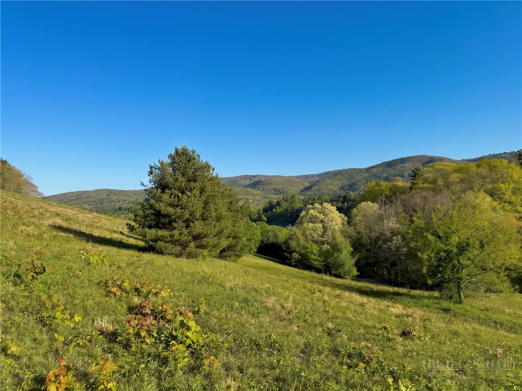 Lot 27 Hartley Knob Road Boone, NC 28607 - Photo 8 of 15