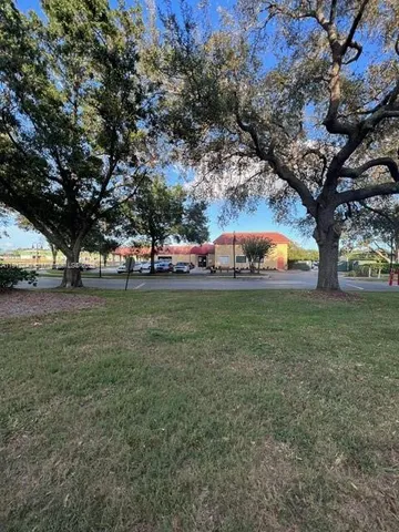 a view of yard with trees