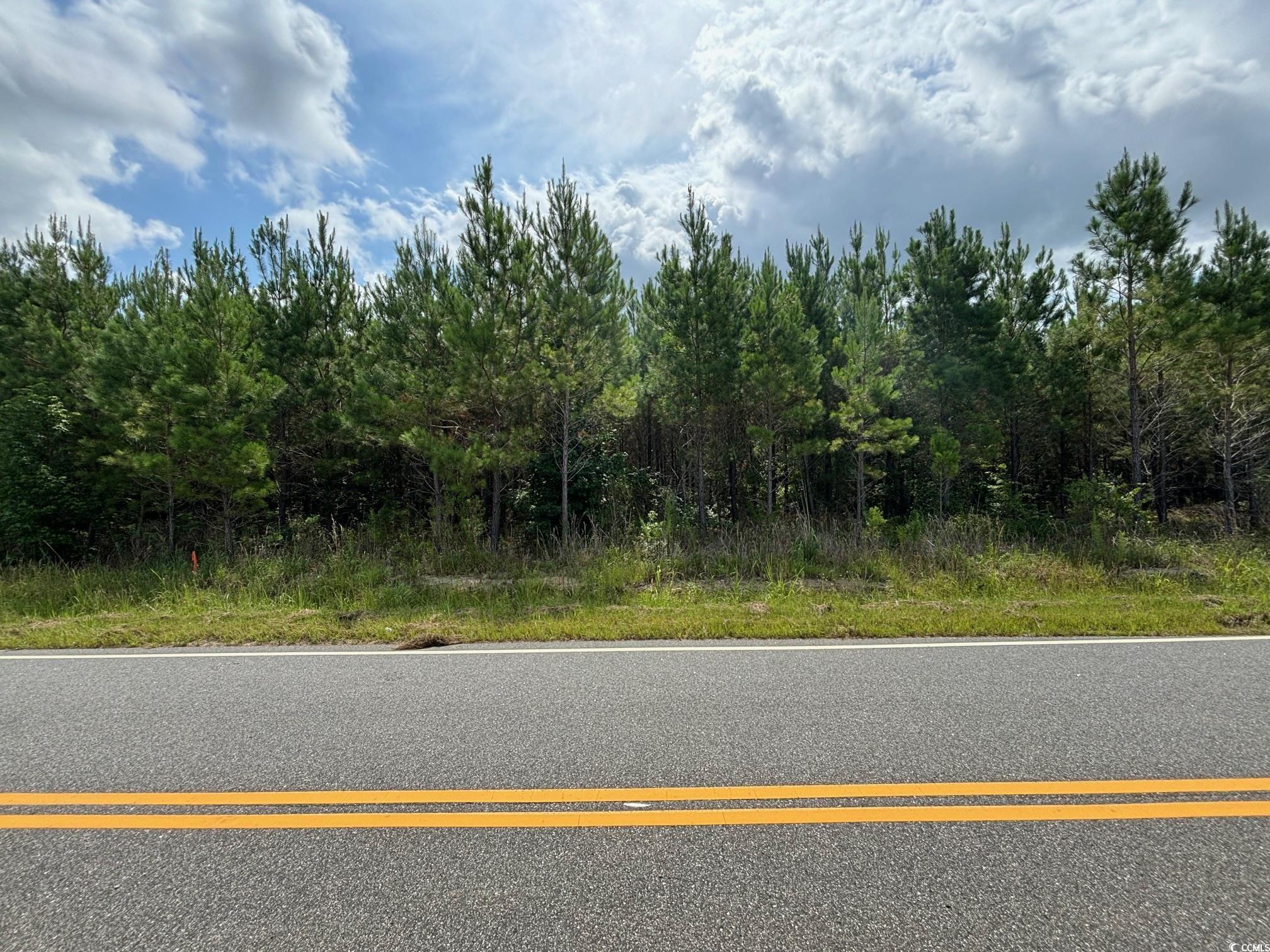 Tbd Gause Road Loris, SC 29569 - Photo 1 of 3 View of road