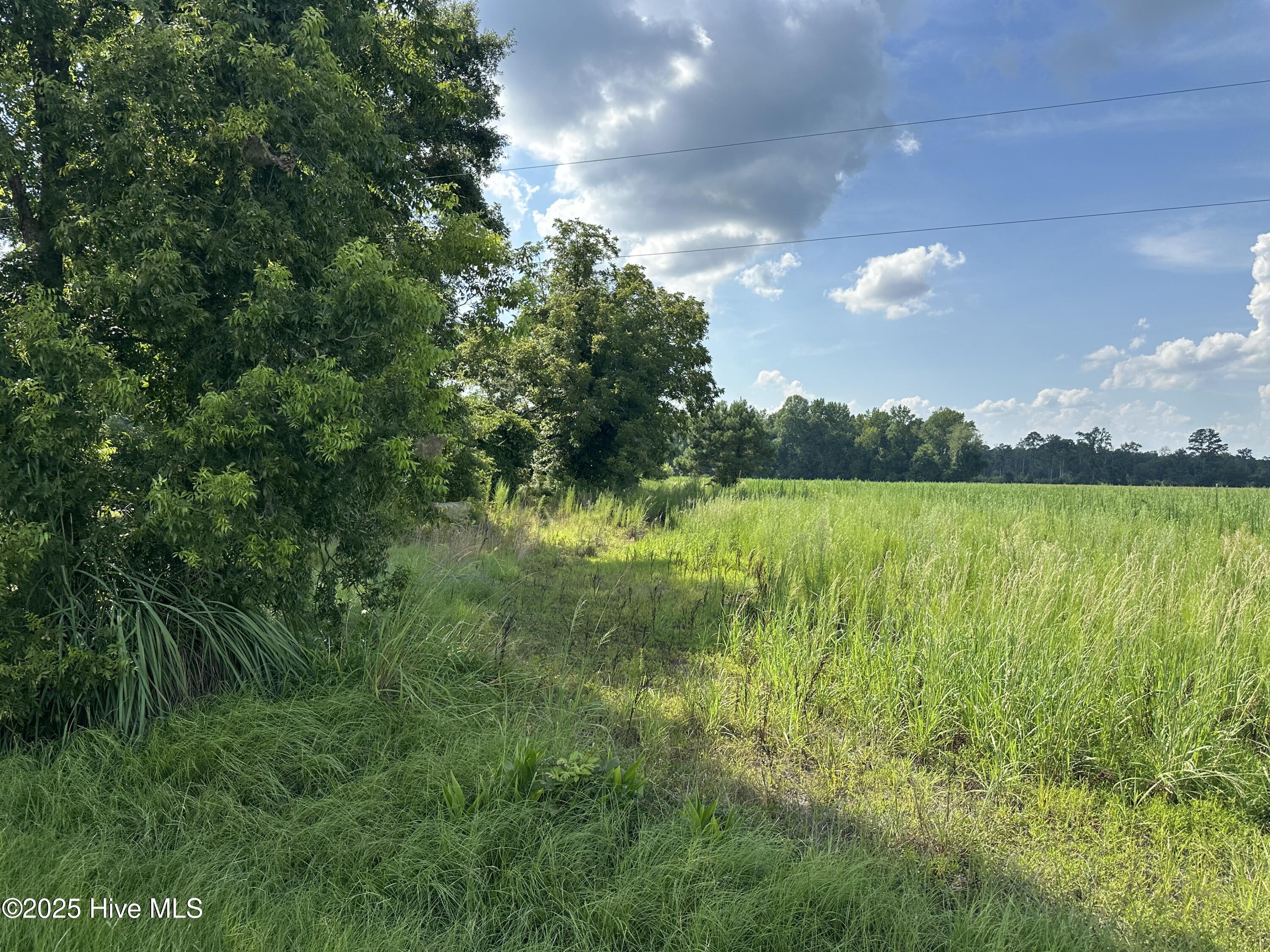 660 Harris Road Grifton, NC 28530 - Photo 2 of 5 IMG_5749