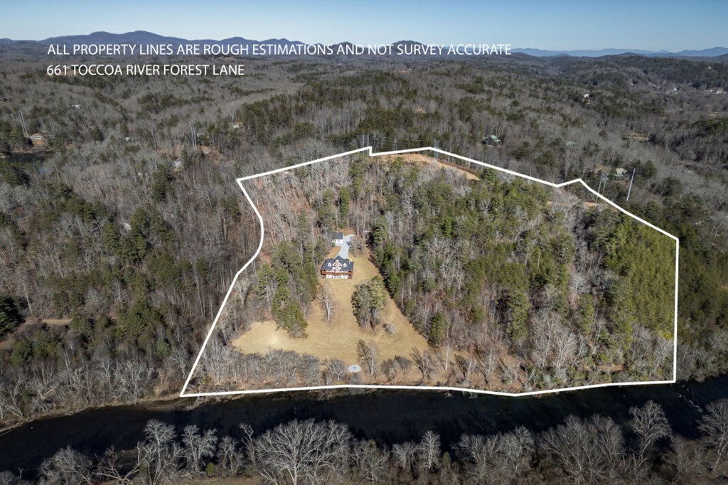 661 North Toccoa River Road Mineral Bluff, GA 30559 - Photo 4 of 76