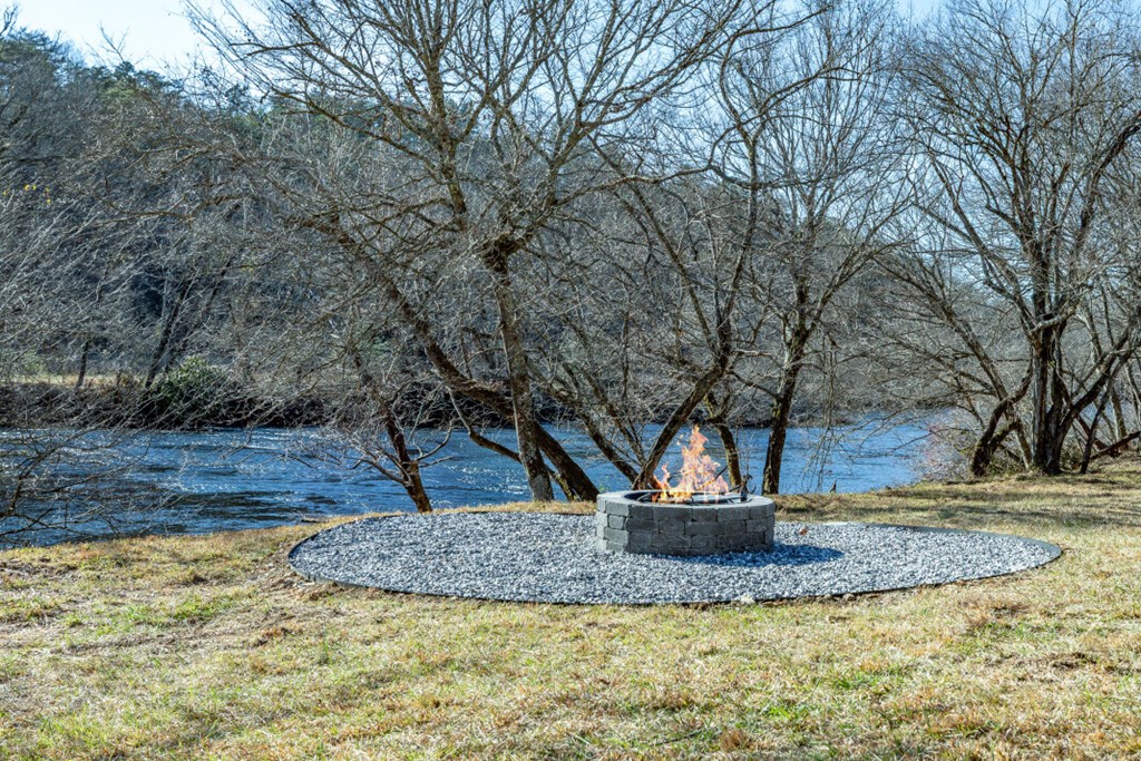 661 North Toccoa River Road Mineral Bluff, GA 30559 - Photo 6 of 76