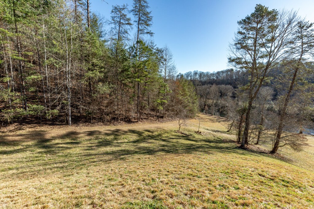 661 North Toccoa River Road Mineral Bluff, GA 30559 - Photo 61 of 76