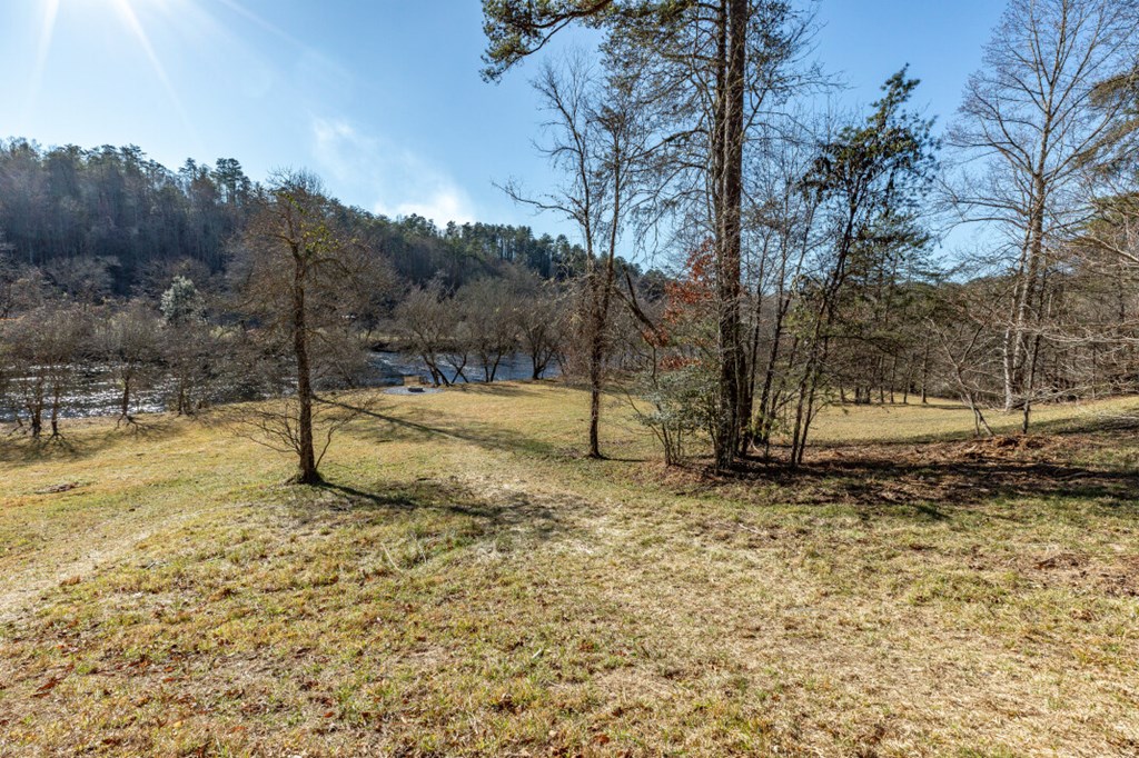 661 North Toccoa River Road Mineral Bluff, GA 30559 - Photo 62 of 76