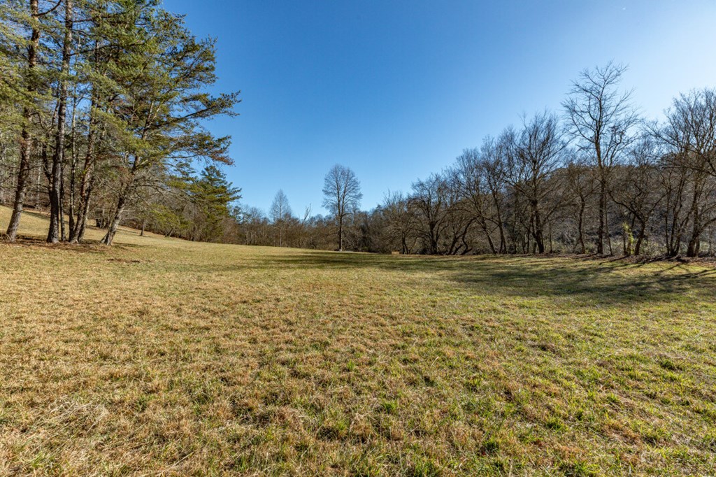 661 North Toccoa River Road Mineral Bluff, GA 30559 - Photo 66 of 76
