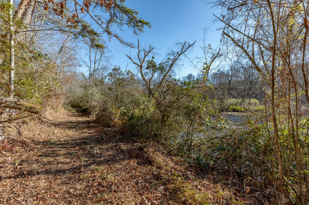 661 North Toccoa River Road Mineral Bluff, GA 30559 - Photo 69 of 76