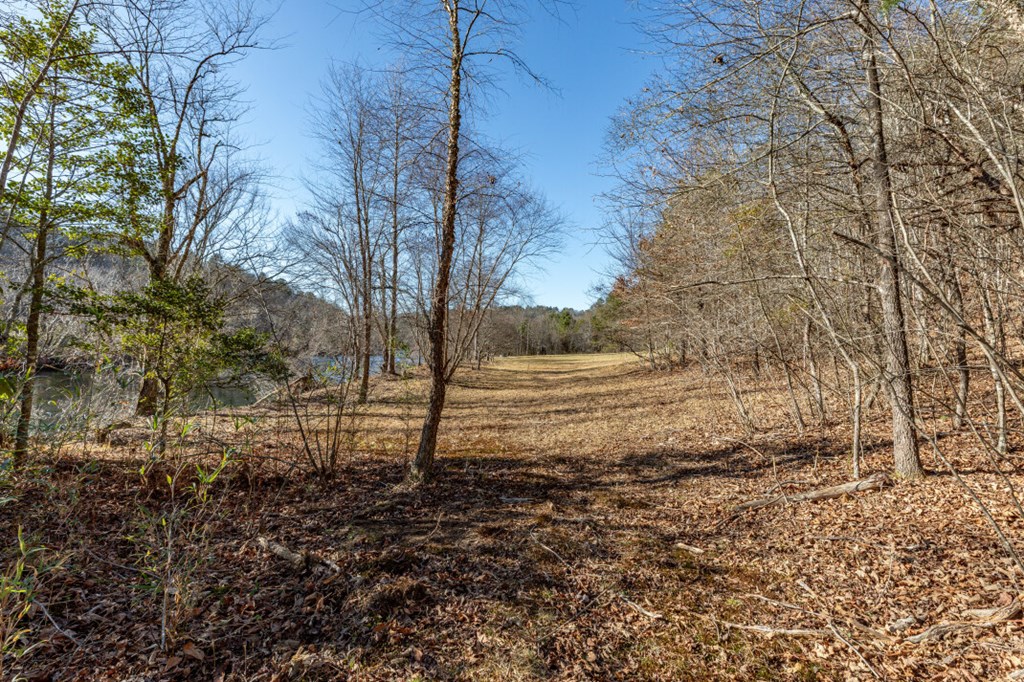 661 North Toccoa River Road Mineral Bluff, GA 30559 - Photo 70 of 76
