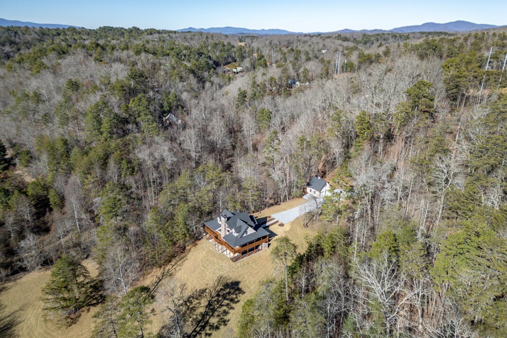 661 North Toccoa River Road Mineral Bluff, GA 30559 - Photo 76 of 76