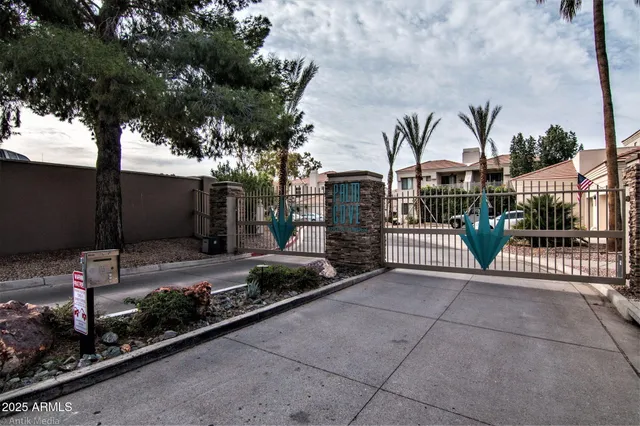 a view of a street with a tree