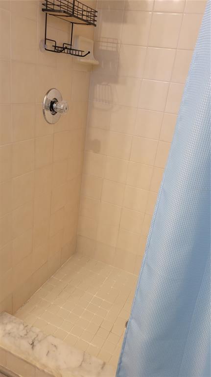 10881 Southwest 75th Avenue Ocala, FL 34476 - Photo 10 of 11 a bathroom with a shower