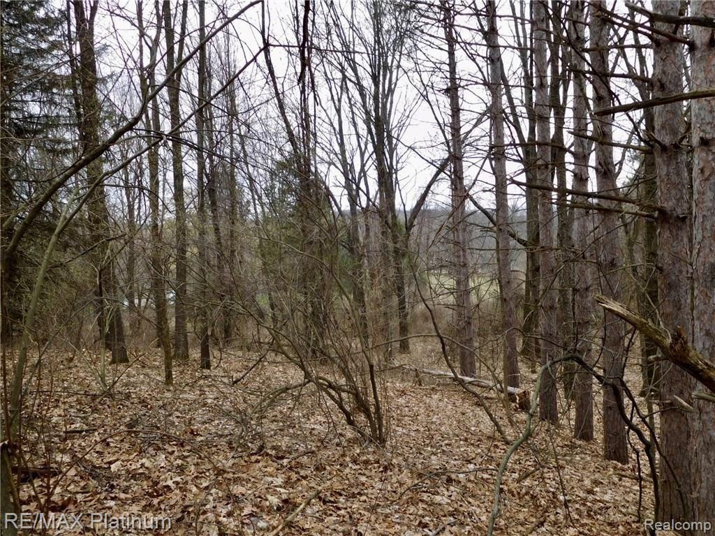 0 West Buno Road Milford, MI 48381 - Photo 27 of 28