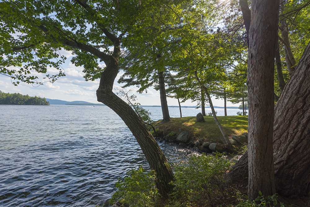24 Minister Point Road Moultonborough, NH 03254 - Photo 6 of 30 Gallery Image 6