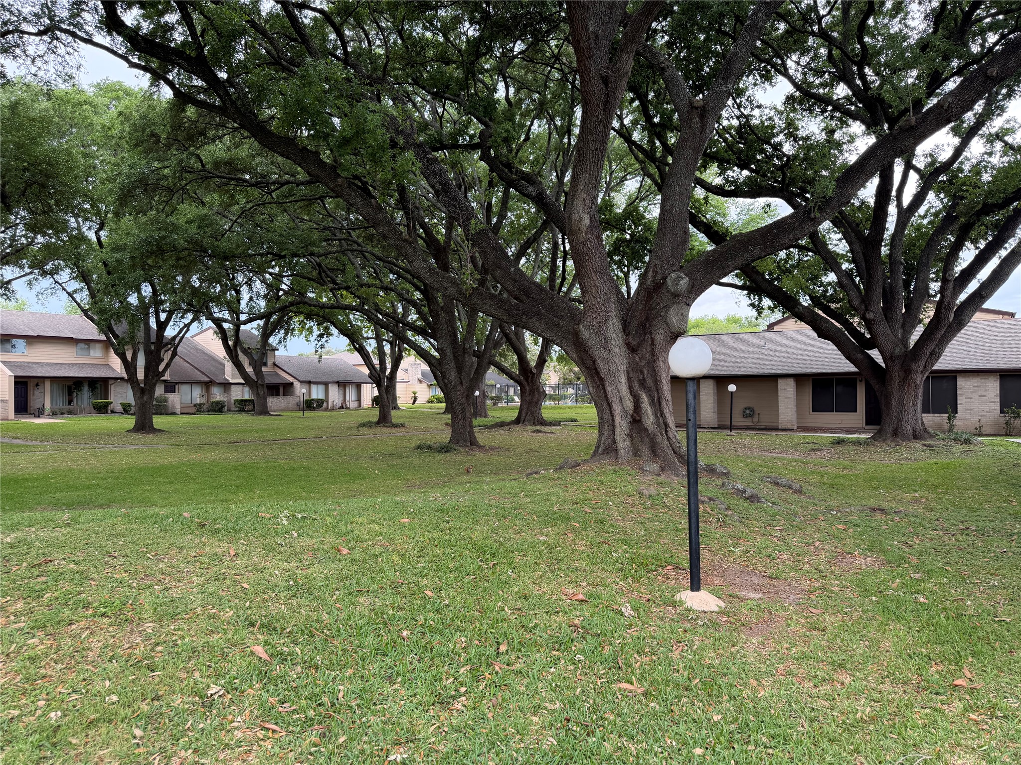 10362 Cook Road Houston, TX 77099 - Photo 16 of 16 a view of a house with a tree in the yard