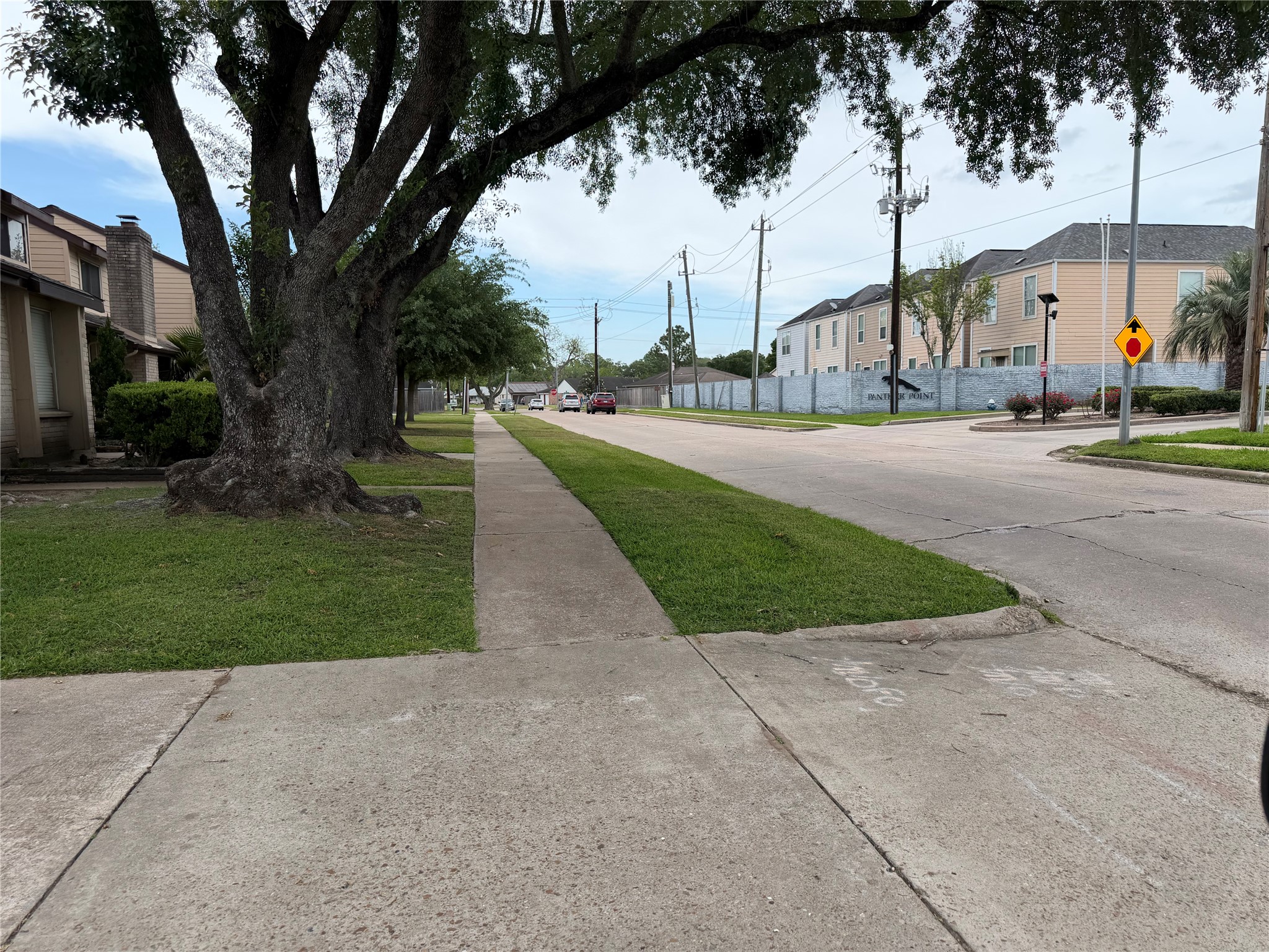 10362 Cook Road Houston, TX 77099 - Photo 2 of 16 a view of a park with palm trees
