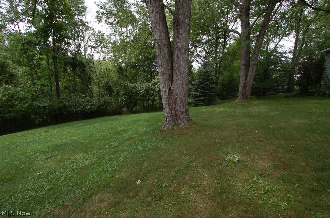 15050 Schreiber Road Maple Heights, OH 44137 - Photo 15 of 16 Gallery Image 15