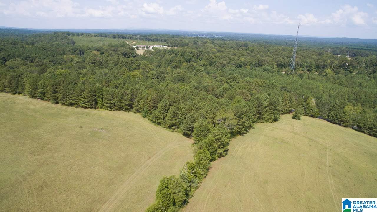 1165 Eureka Road, Unit 4 Lincoln, AL 35096 - Photo 5 of 38