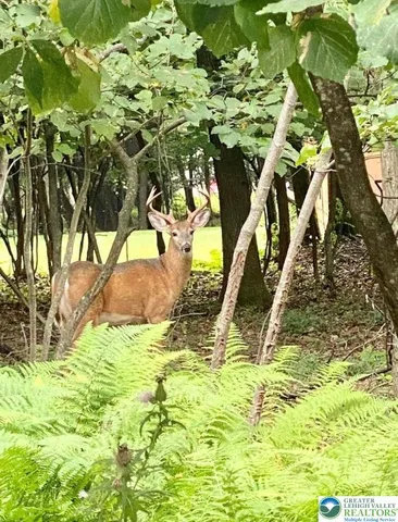 $125,000 | 40 Kent Clarke Road, Lake Harmony, PA 18624