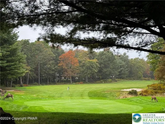 a bathroom with a bathtub and a picture of the gate