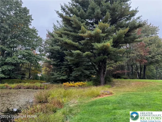 a view of a park with large trees