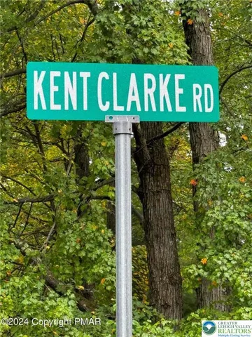 a view of a yard with plants