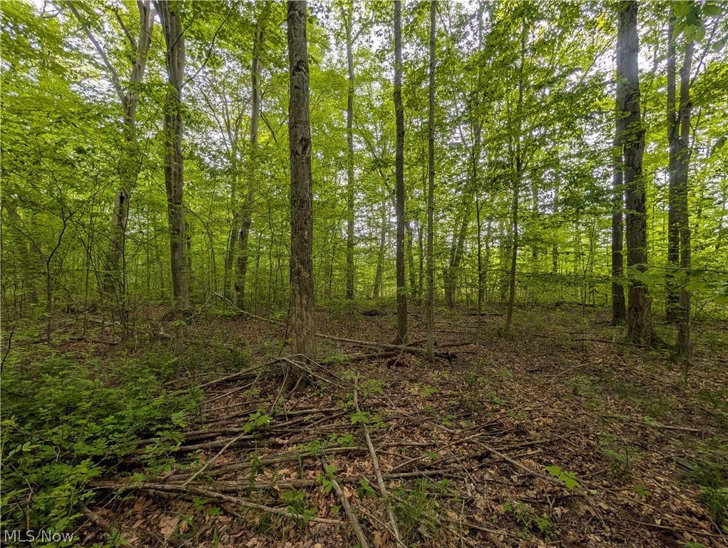 West Western Reserve Road Canfield, OH 44406 - Photo 11 of 15