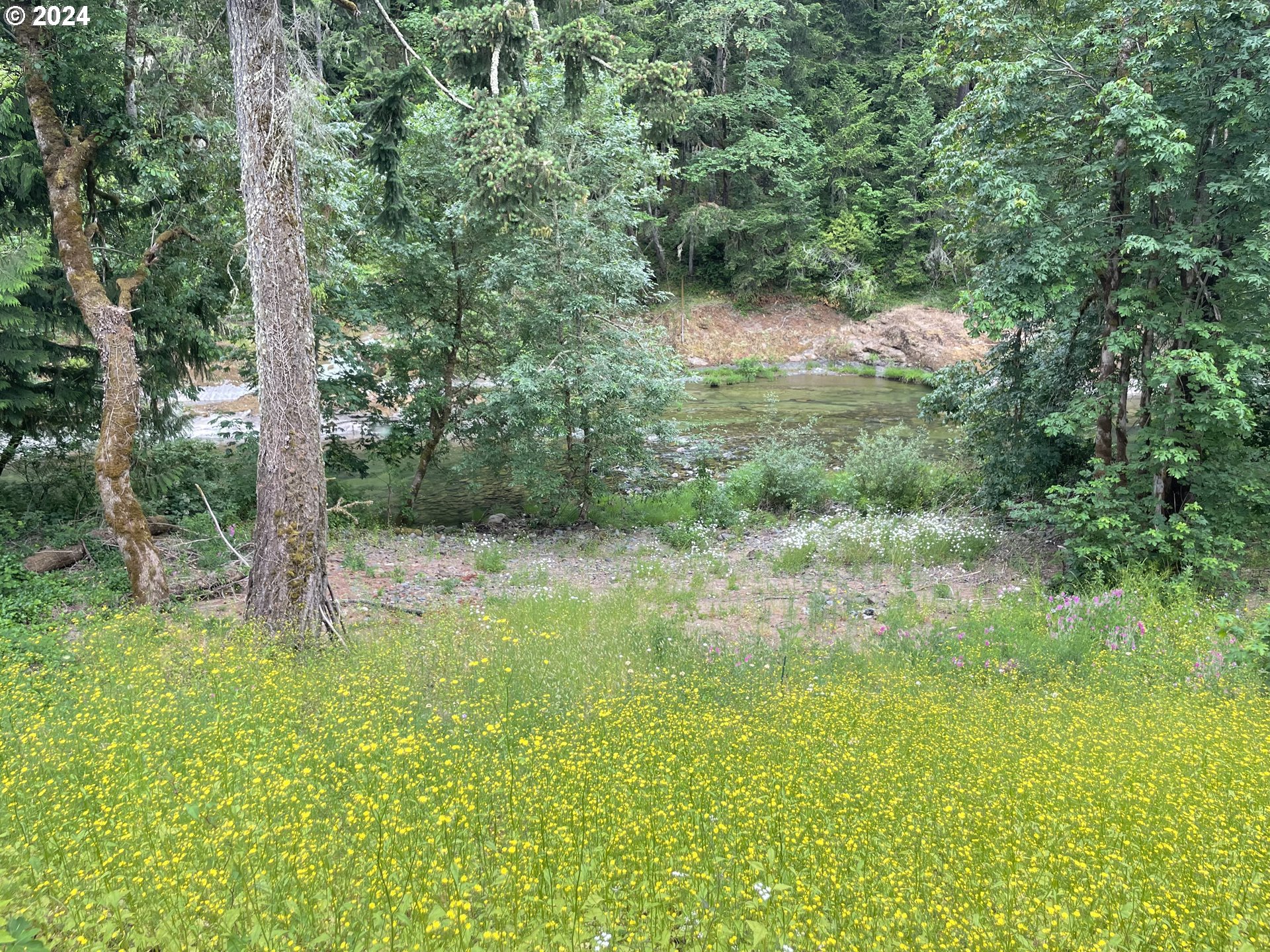 37674 Row River Road Dorena, OR 97434 - Photo 11 of 42 Gallery Image 11
