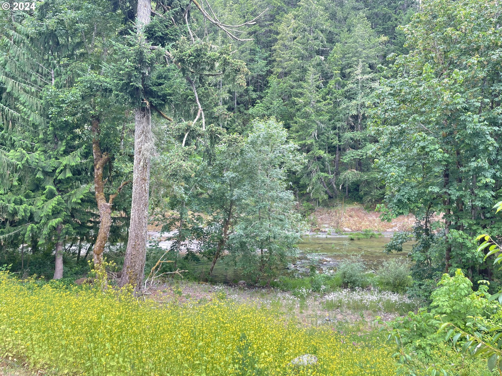 37674 Row River Road Dorena, OR 97434 - Photo 7 of 42 River Access