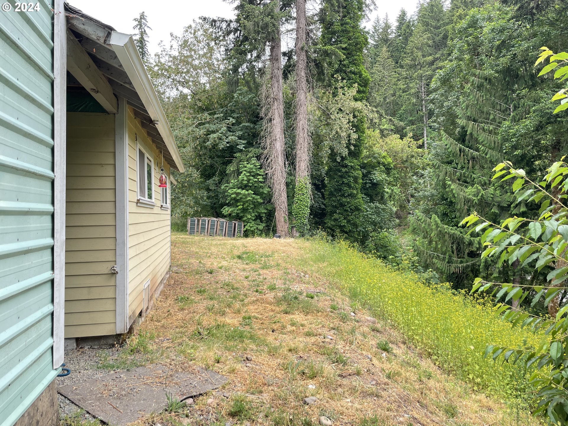 37674 Row River Road Dorena, OR 97434 - Photo 10 of 42 Gallery Image 10