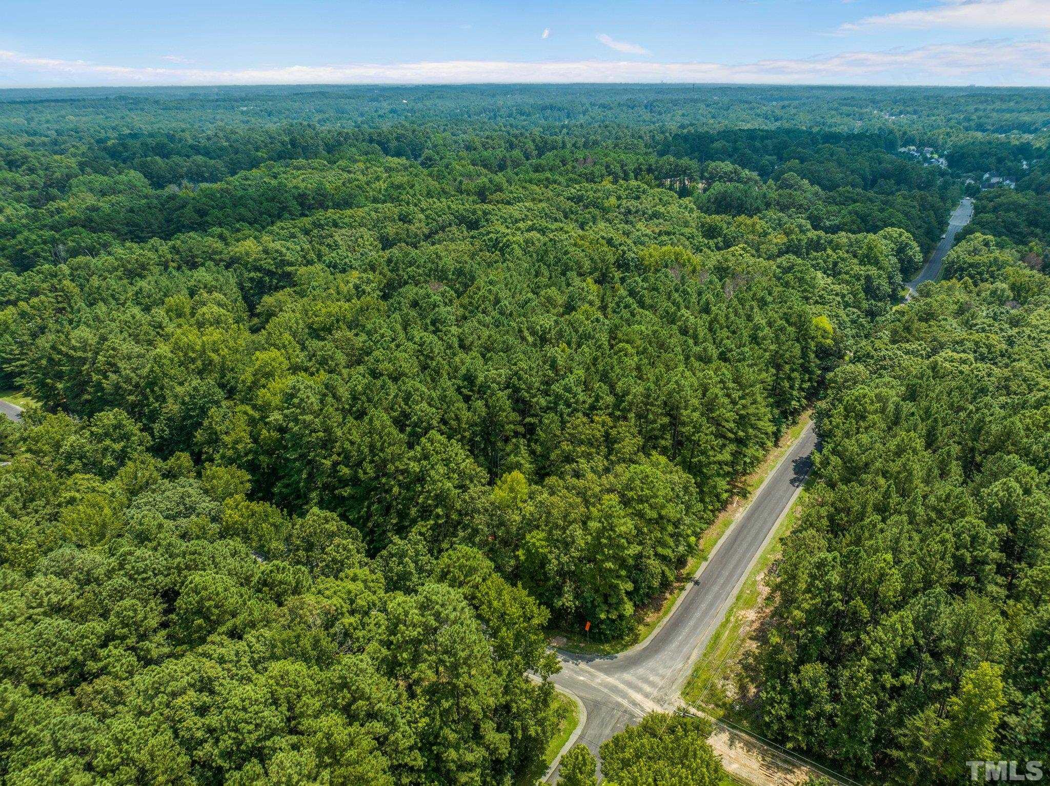 3801 Daniel Durham, NC 27703 - Photo 12 of 20 a view of a field of grass and trees