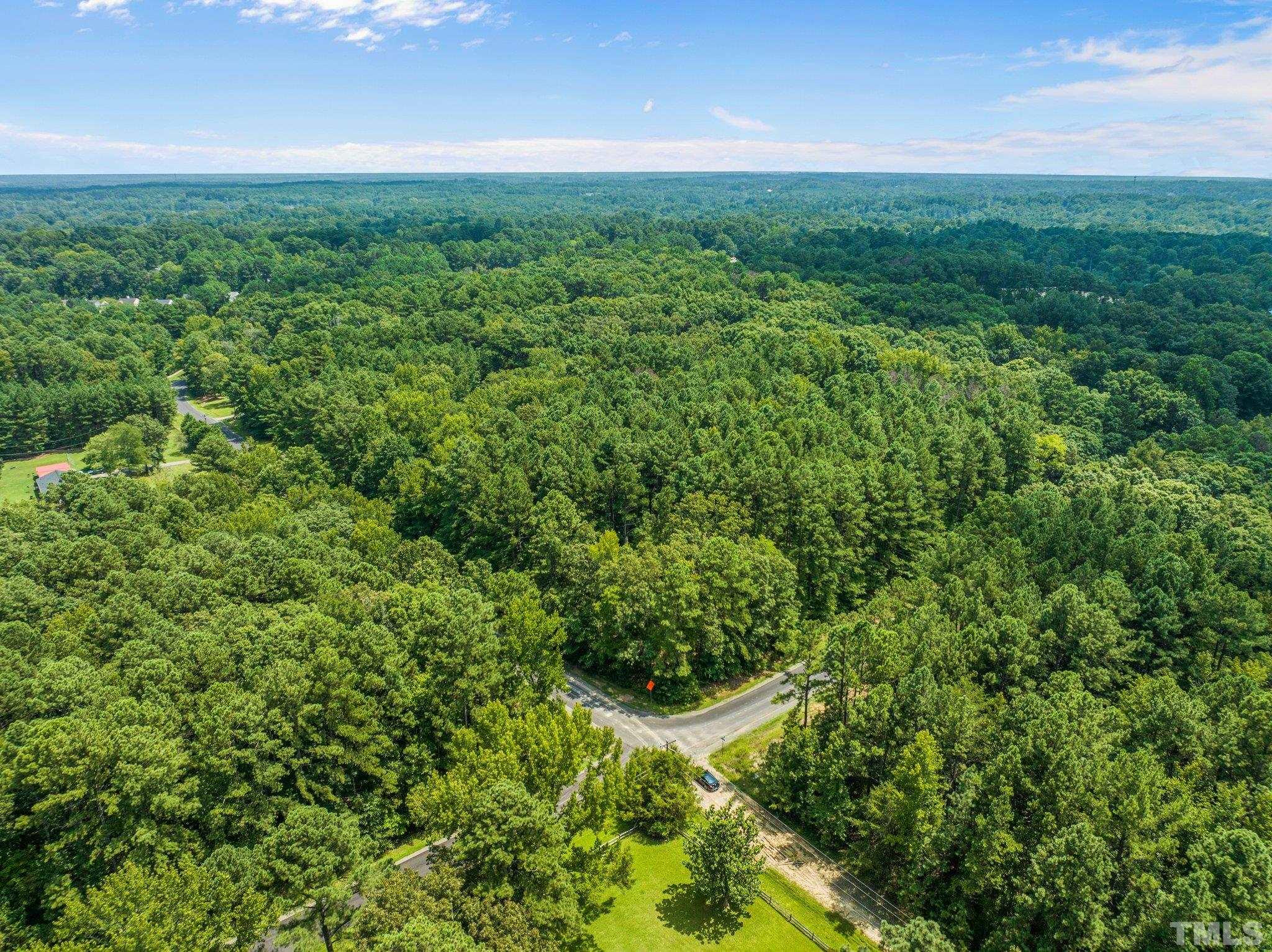 3801 Daniel Durham, NC 27703 - Photo 13 of 20 a view of a big yard with plants and large trees