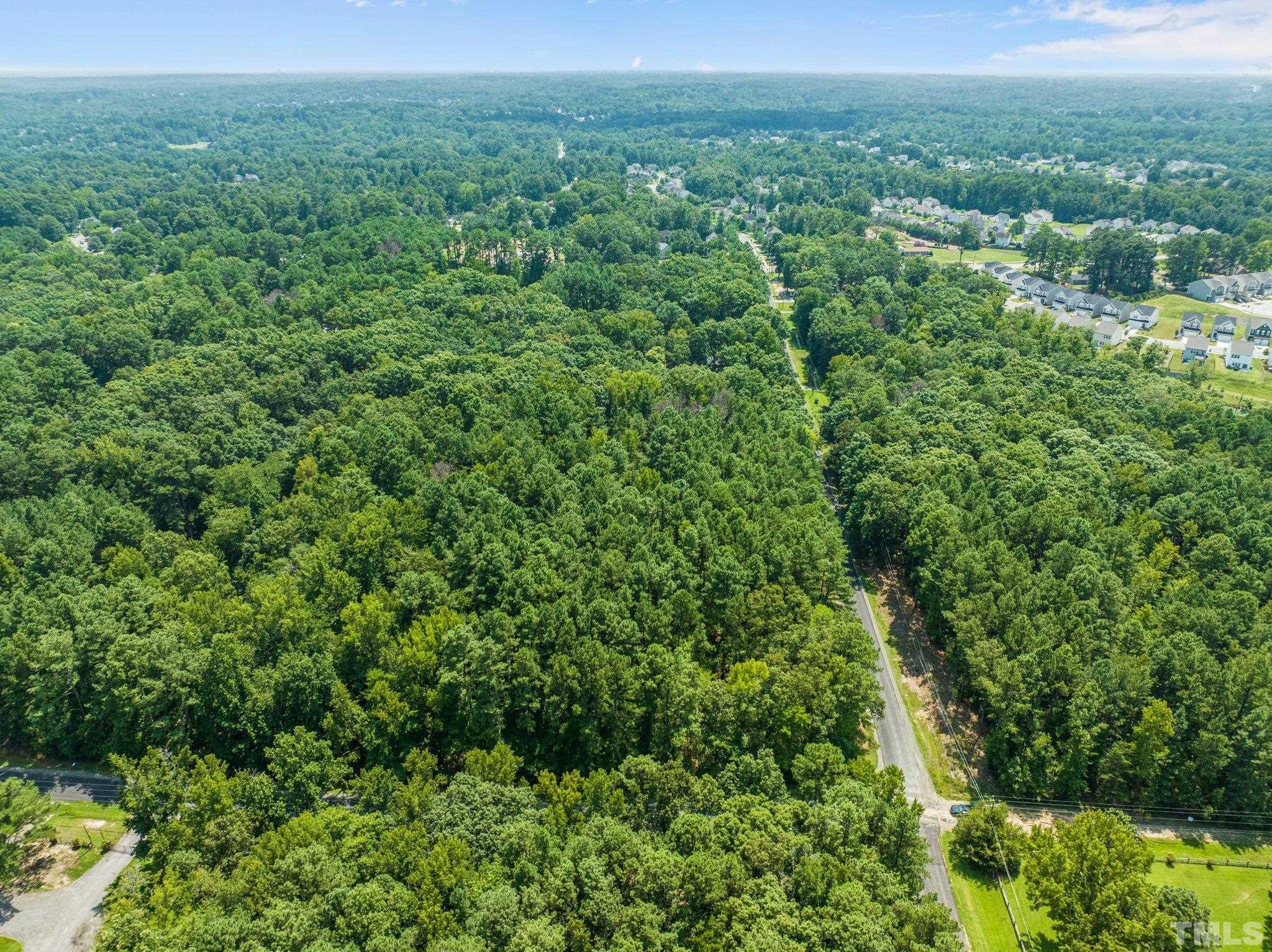 3801 Daniel Durham, NC 27703 - Photo 7 of 20 a view of a lush green forest with trees and some houses