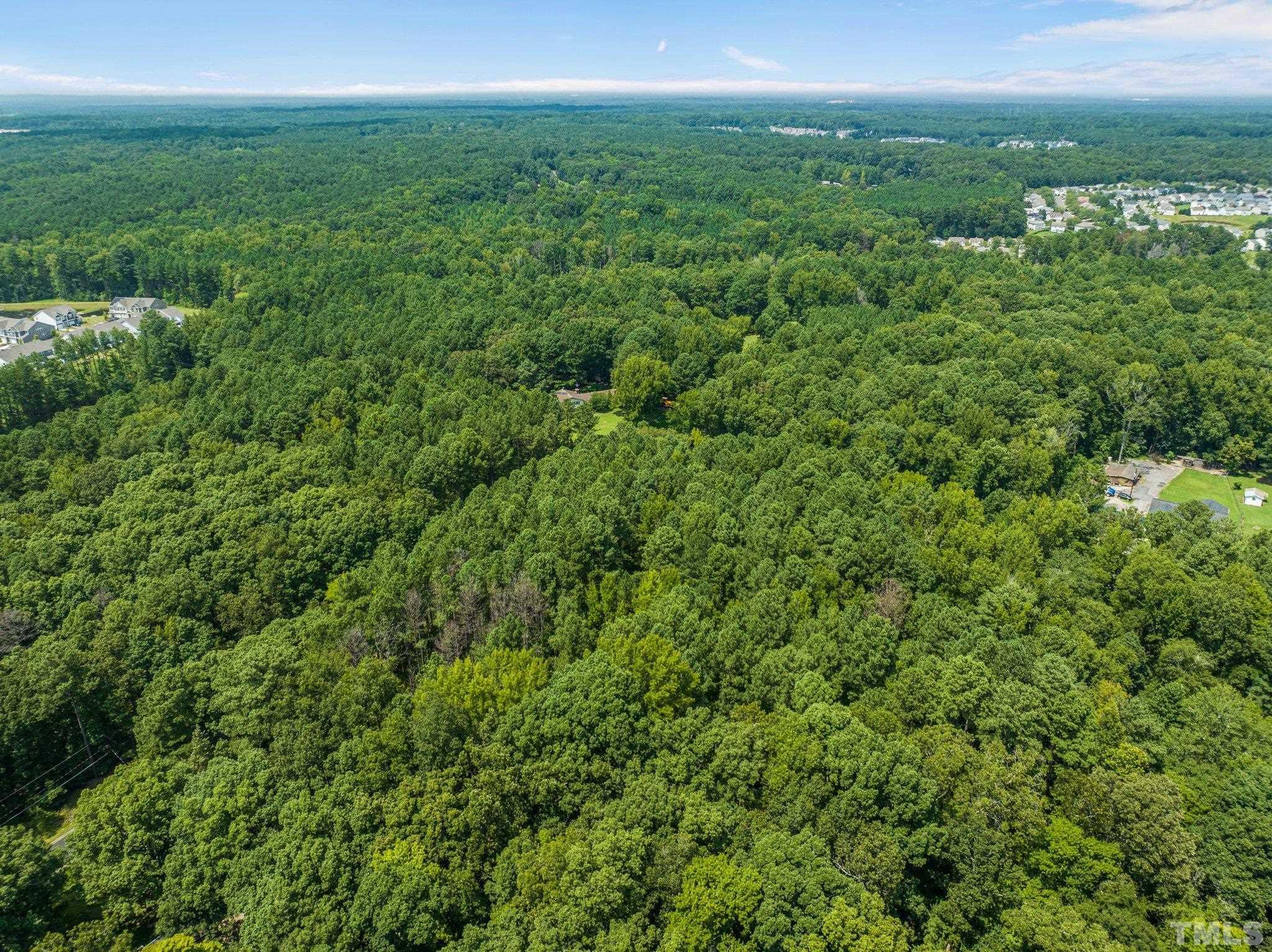 3801 Daniel Durham, NC 27703 - Photo 9 of 20 a view of a green field with lots of bushes